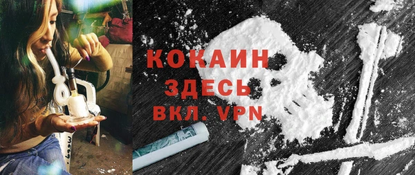дживик Новодвинск