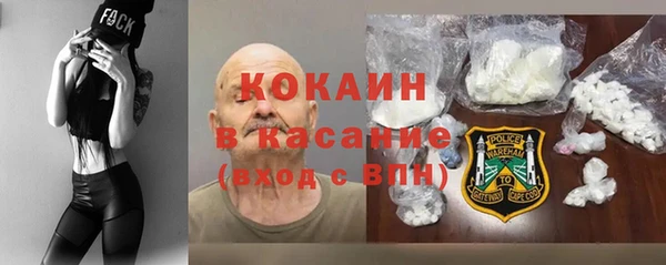 стафф Новозыбков
