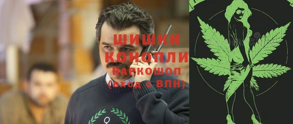 стафф Новозыбков