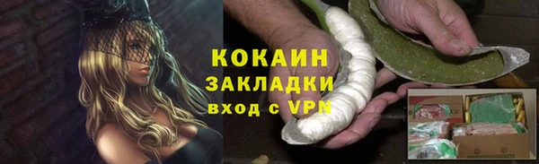 стафф Новозыбков