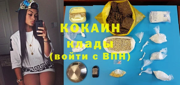 дживик Новодвинск