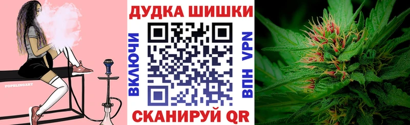 Марихуана индика  Суджа 